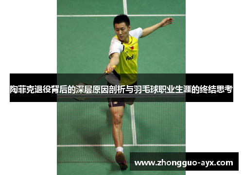 陶菲克退役背后的深层原因剖析与羽毛球职业生涯的终结思考