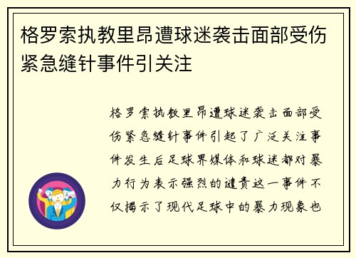 格罗索执教里昂遭球迷袭击面部受伤紧急缝针事件引关注
